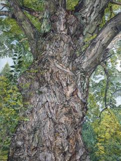 Ellen Altfest - The Tree