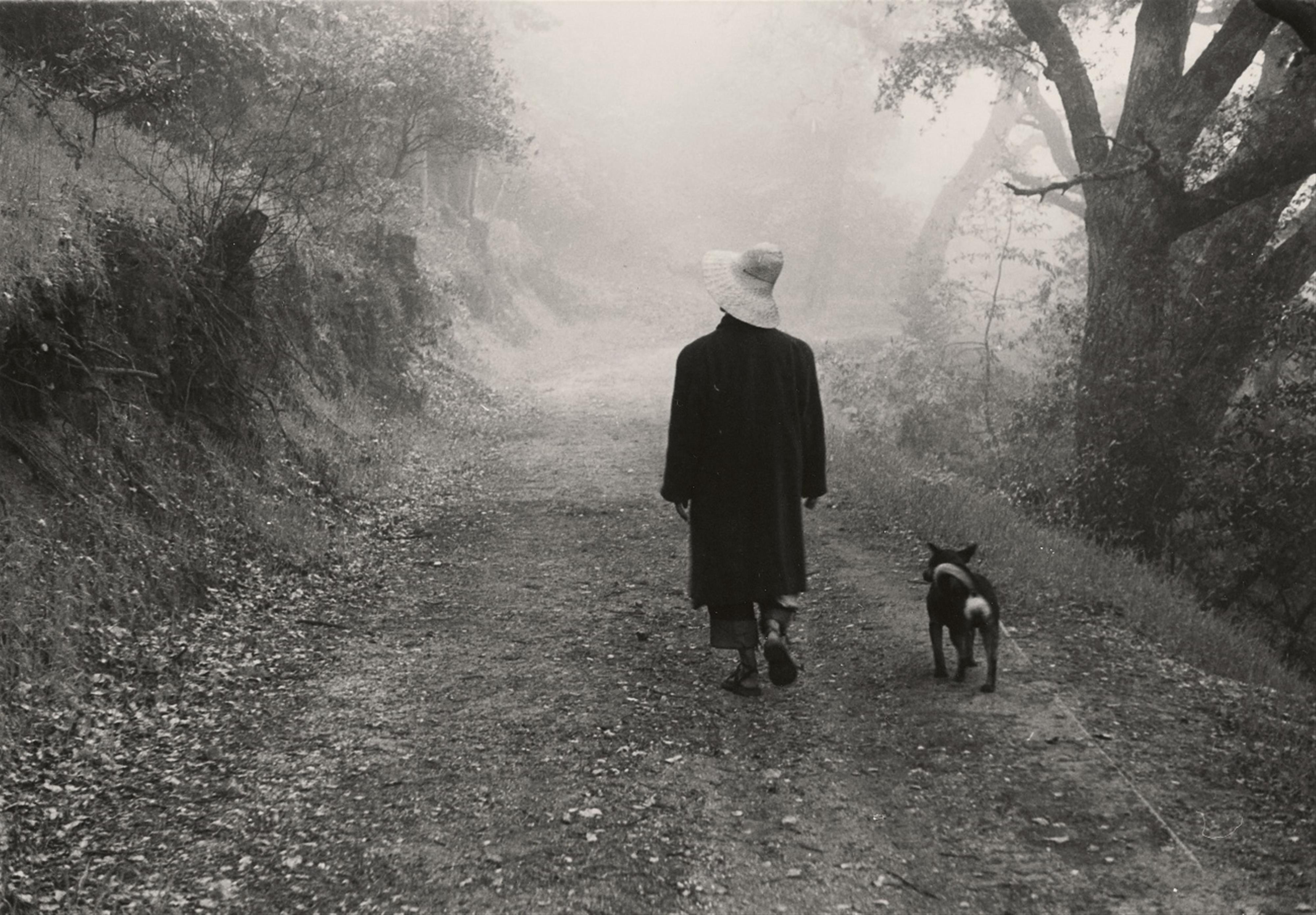 Ellen Auerbach - Big Sur, California