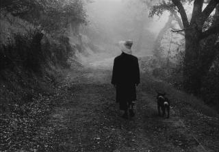 Ellen Auerbach - Fotografien