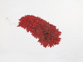 Ellen Gallagher - Prickly Red