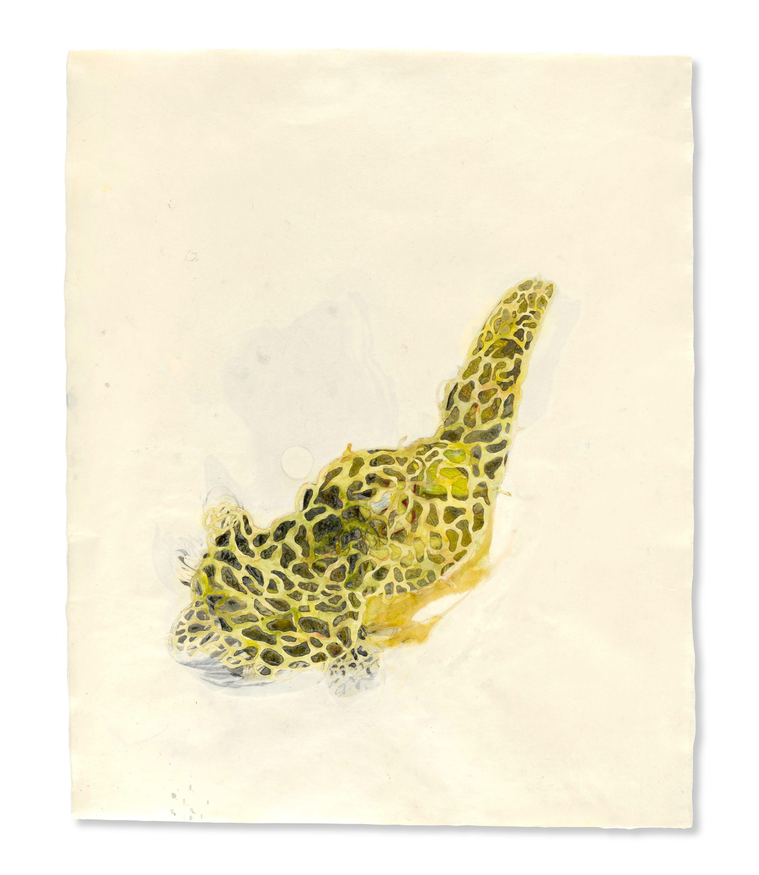 Ellen Gallagher - Watery Ecstatic