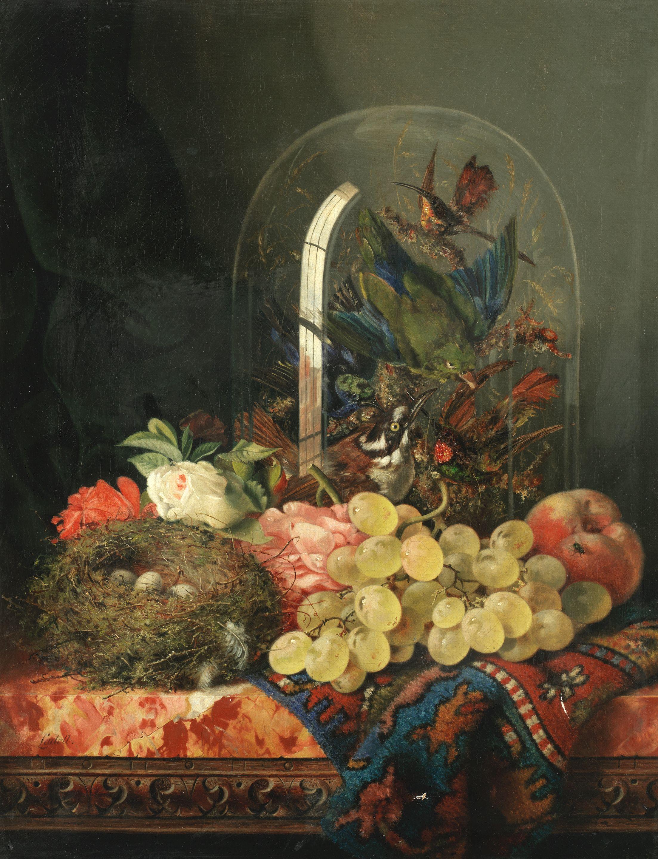 Ellen Ladell - Still Life Of Flowers And Birds In A Glass Dome