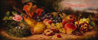 Ellen Ladell - Still life of fruit, primulas and a bird\'s nest