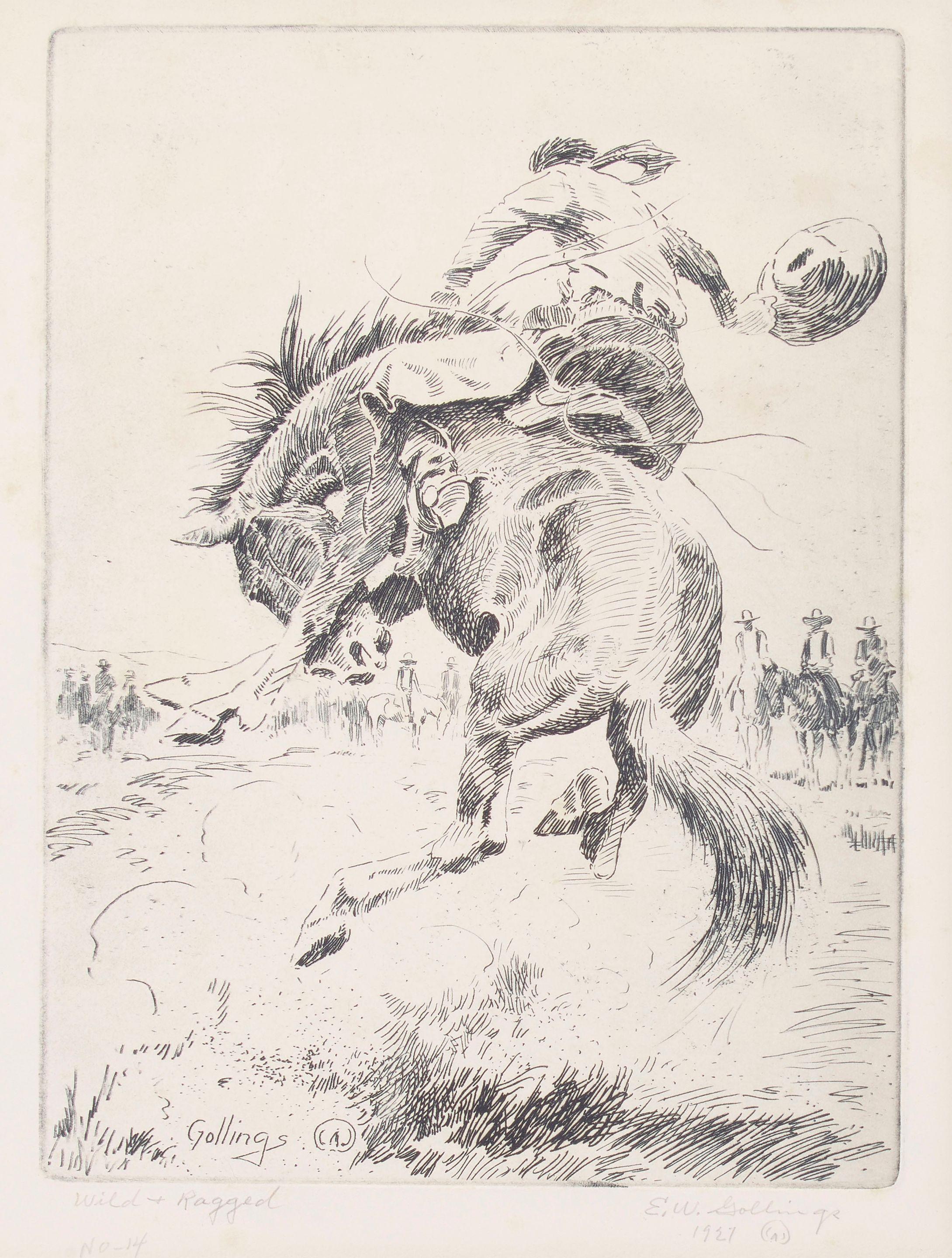 Elling William Gollings - Wild & Ragged, 1927