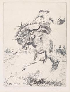 Elling William Gollings - Wild & Ragged, 1927