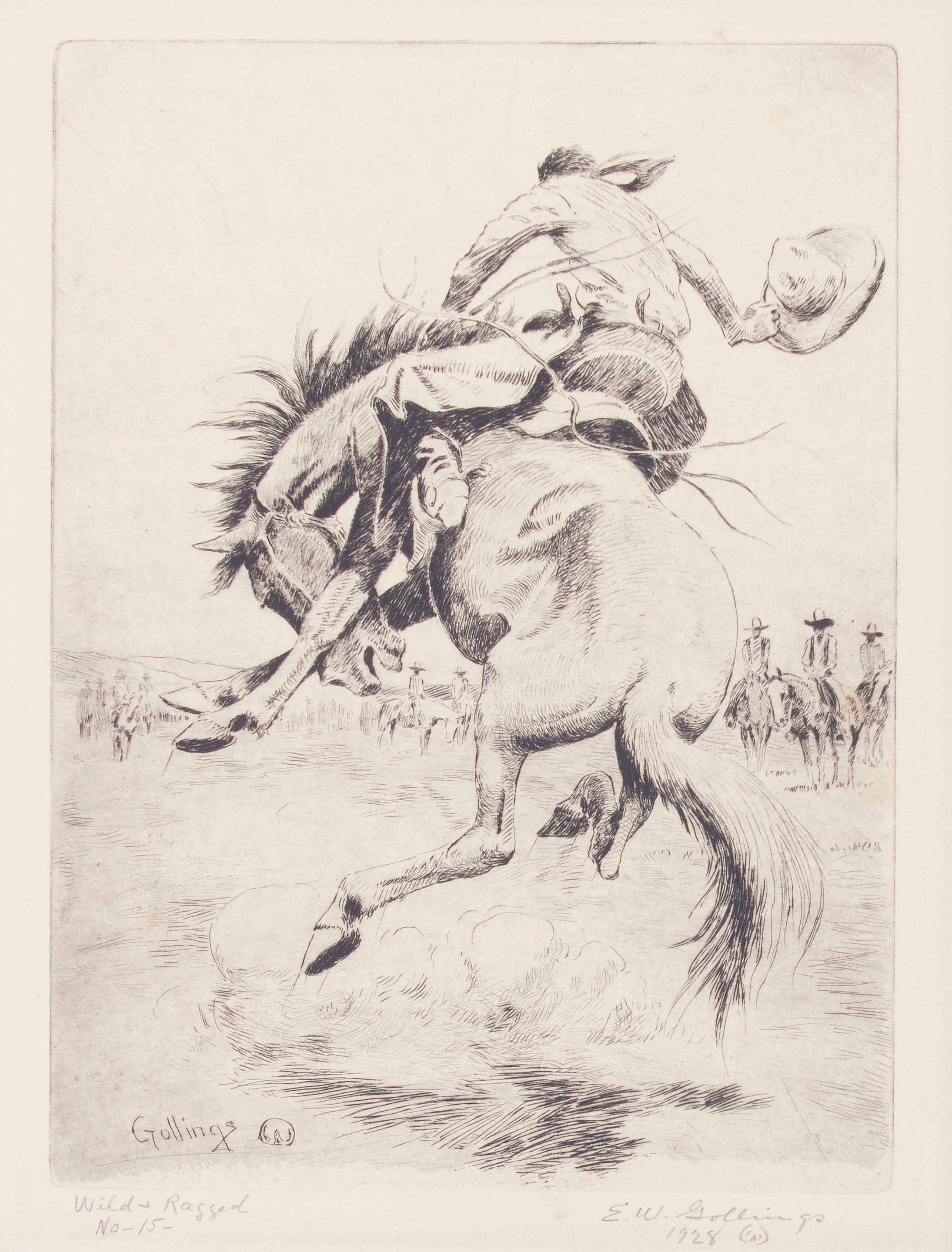 Elling William Gollings - Wild & Ragged, 1928