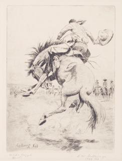 Elling William Gollings - Wild & Ragged, 1928