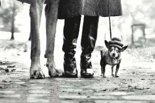 Elliot Erwitt - New York City, 1974