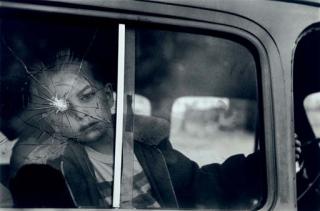 Elliott Erwitt - Elliott Erwitt