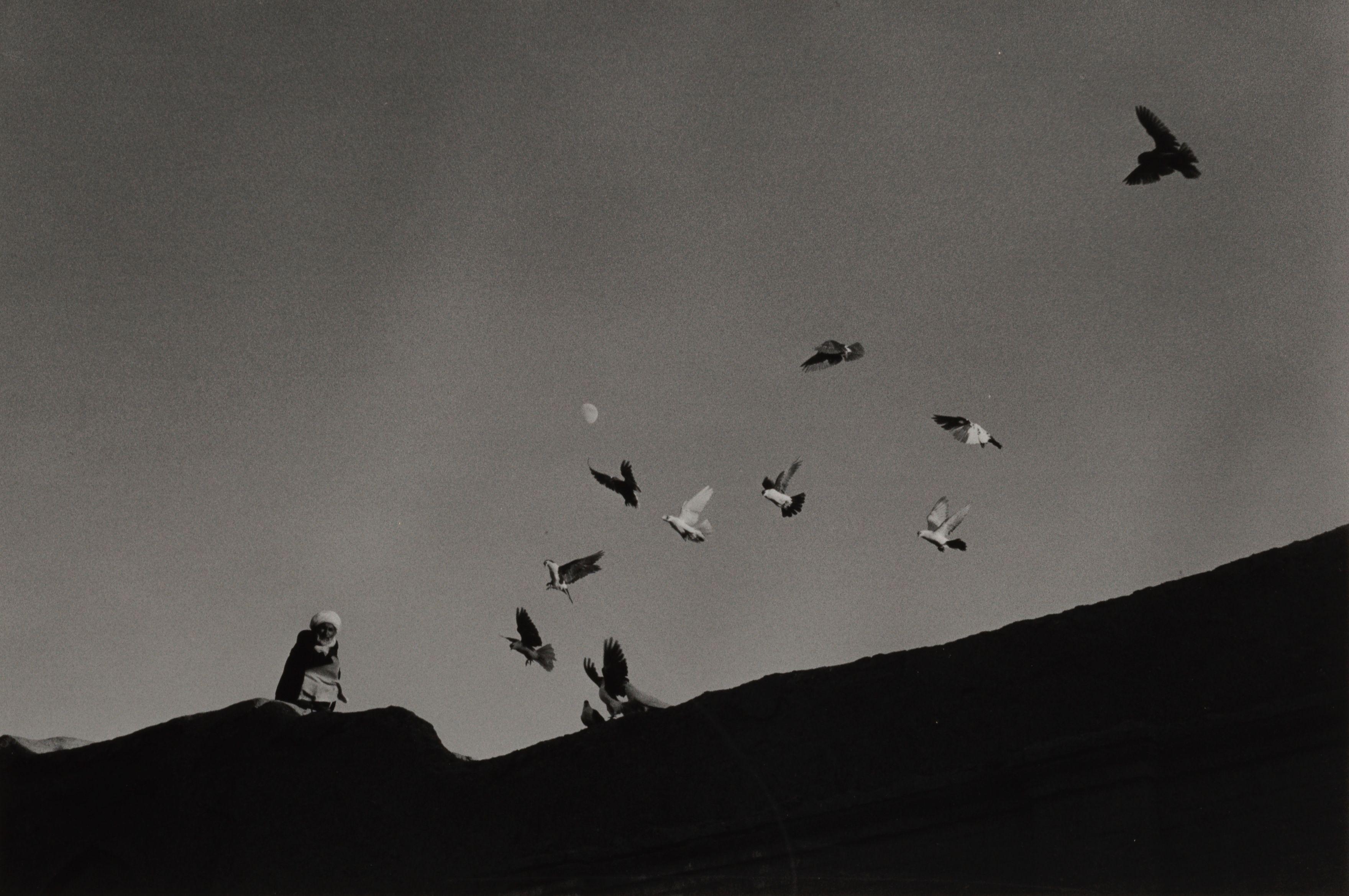Elliott Erwitt - \'Herat, Afghanistan\' (Birds and Moon)