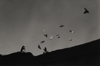 Elliott Erwitt - \'Herat, Afghanistan\' (Birds and Moon)