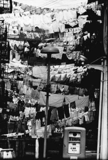 Elliott Erwitt - Hoboken