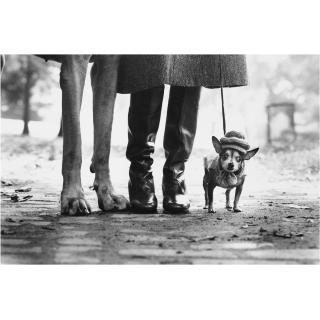 Elliott Erwitt - New York City, 1974