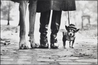 Elliott Erwitt - New York City, 1974