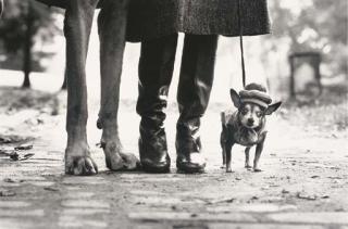 Elliott Erwitt - New York City, 1974