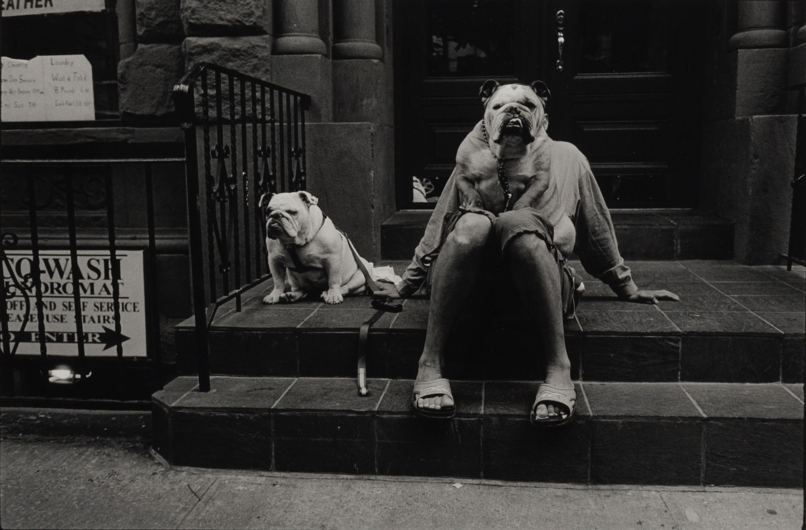 Elliott Erwitt - \'New York City\' (Bulldogs)