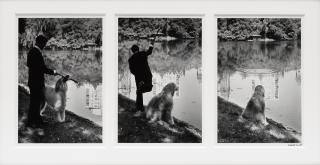 Elliott Erwitt - \'New York City\' (Central Park Triptych)