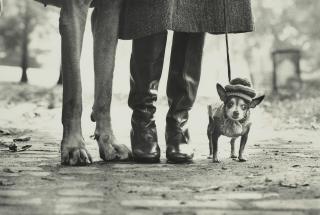 Elliott Erwitt - New York City (Dog Legs), 1974