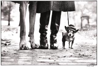 Elliott Erwitt - New York City