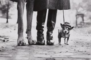 Elliott Erwitt - New York City