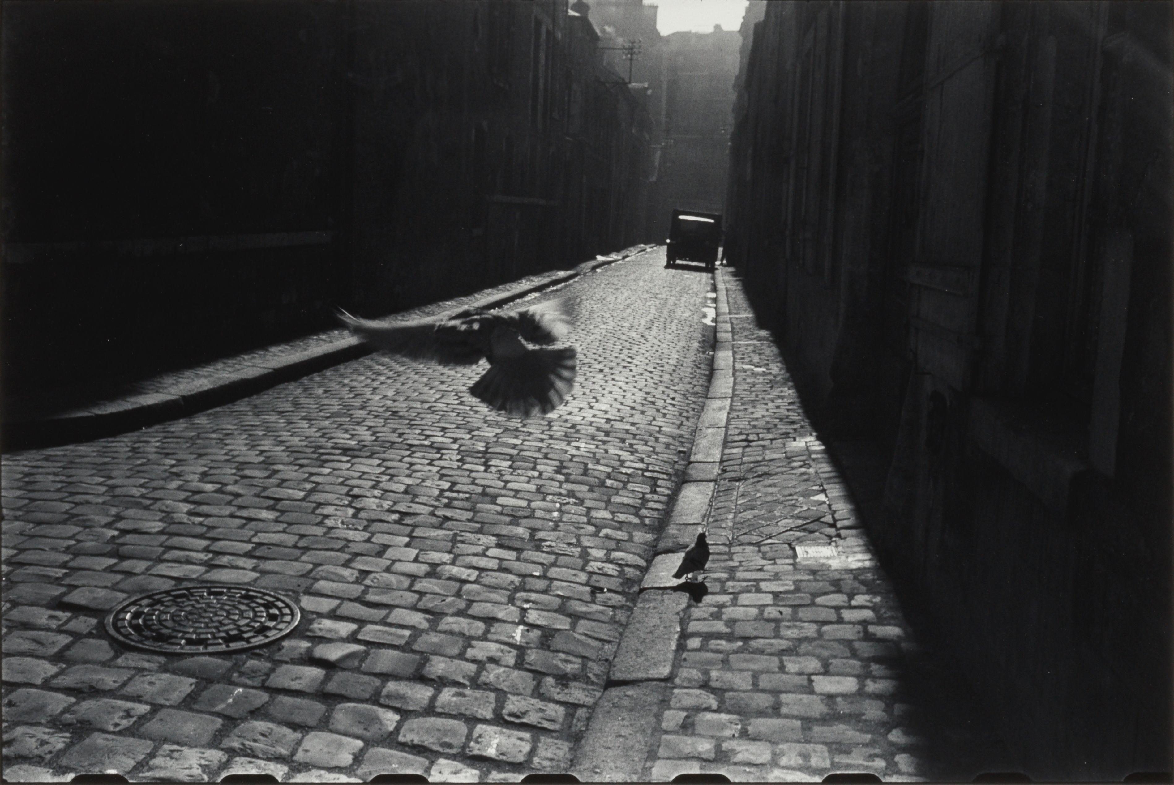 Elliott Erwitt - \'Orléans, France\' (Bird and Cobblestones)