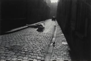 Elliott Erwitt - \'Orléans, France\' (Bird and Cobblestones)