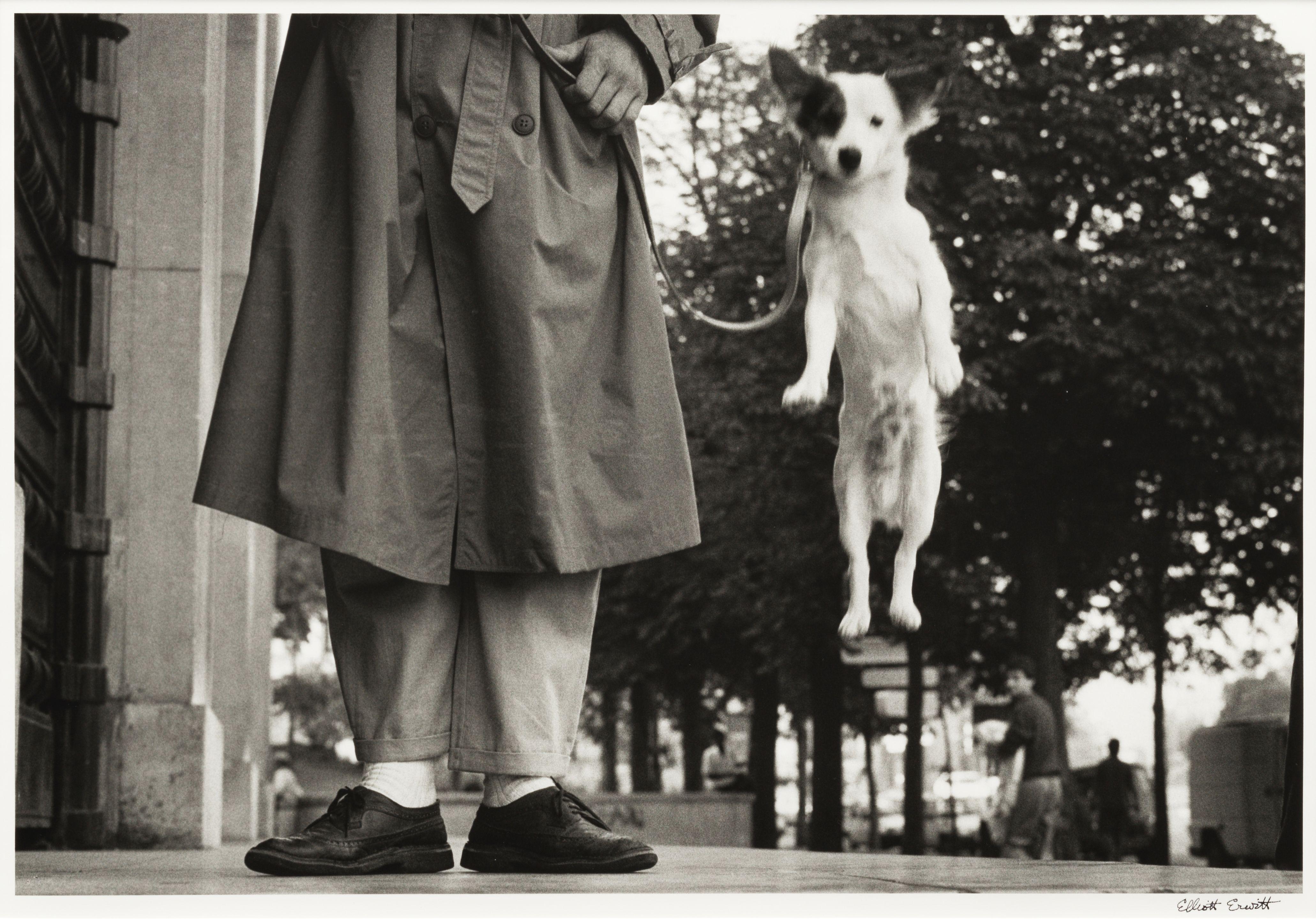 Elliott Erwitt - \'Paris, France\' (Dog Jumping)