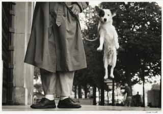 Elliott Erwitt - \'Paris, France\' (Dog Jumping)