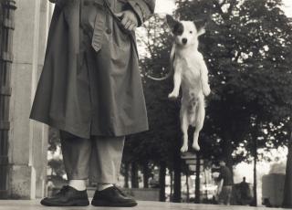 Elliott Erwitt - Paris, France