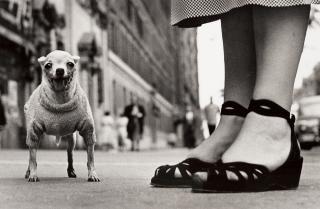 Elliott Erwitt - Paris