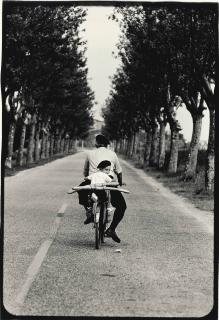 Elliott Erwitt - Provence, France, 1955