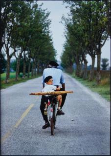Elliott Erwitt - Provence