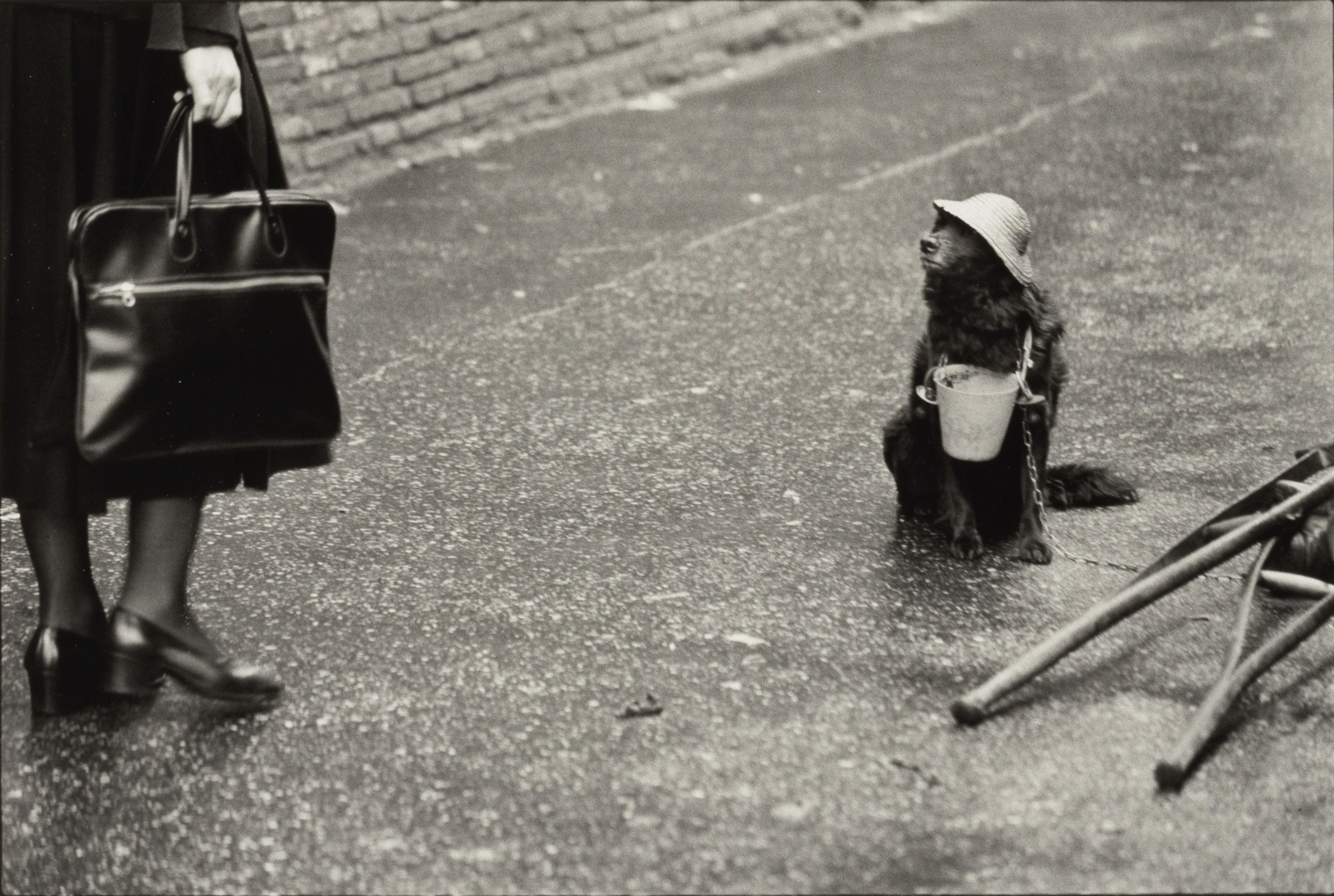 Elliott Erwitt - \'Rome, Italy\'