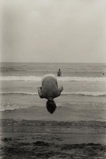 Elliott Erwitt - \'Saintes Maries de la Mer, France\'
