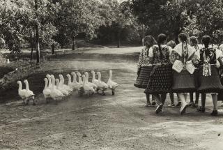 Elliott Erwitt - Ungarn