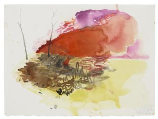 Elliott Hundley - Incandescent Tangle IX