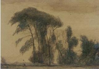 Elliott Seabrooke, L.G. - Trees In A Storm