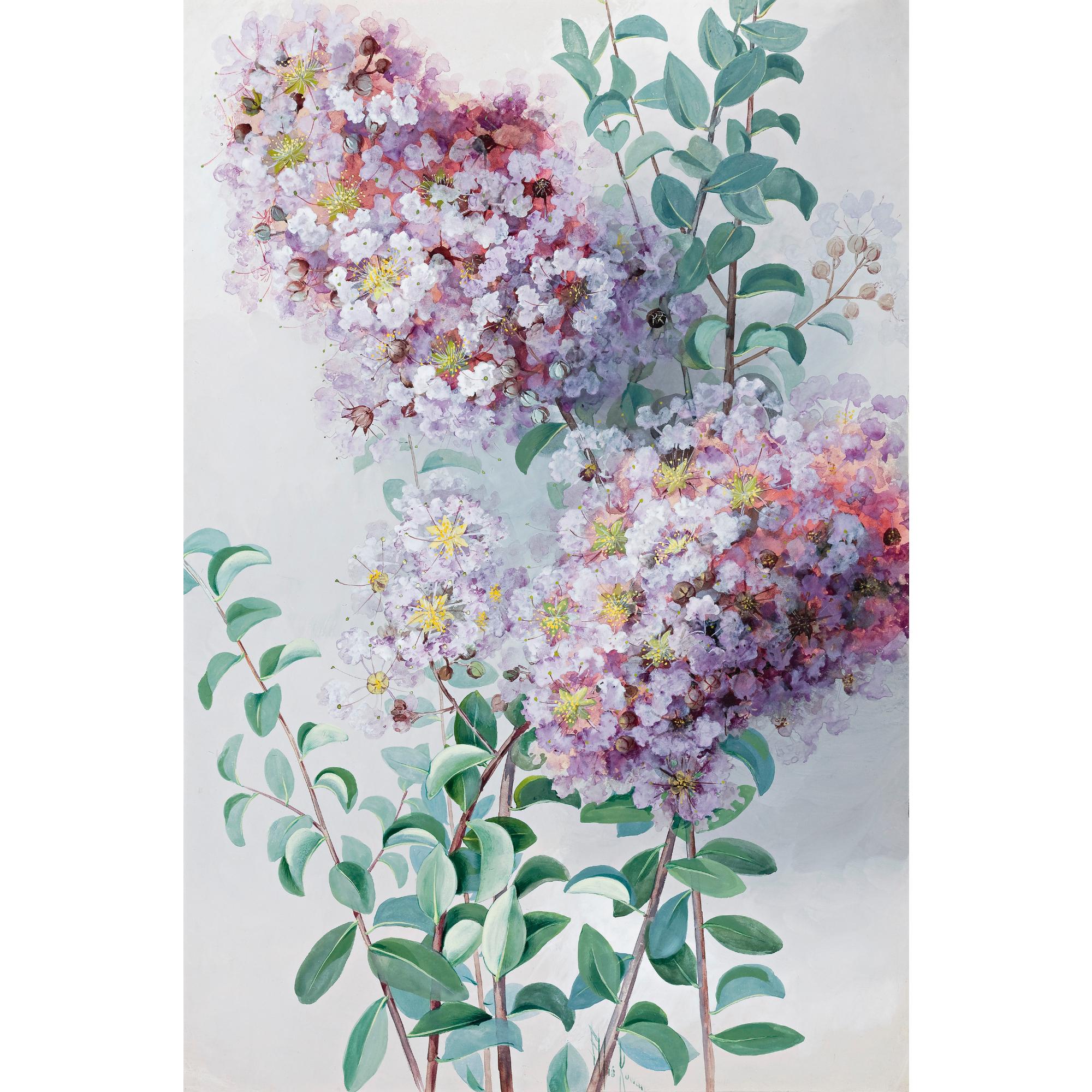 Ellis Rowan - British Crepe Myrtle