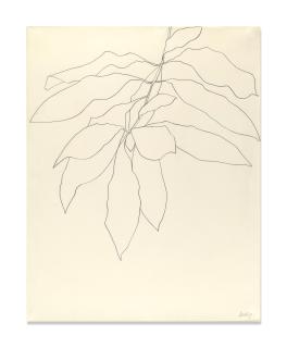 Ellsworth Kelly - Avocado