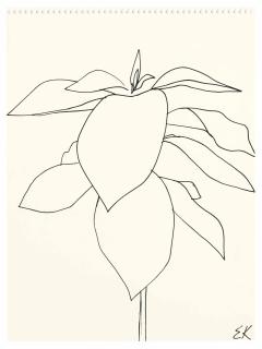 Ellsworth Kelly - Avocado
