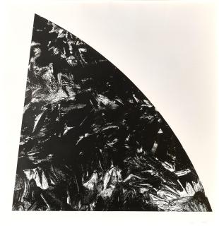 Ellsworth Kelly - Baie Rouge, from Saint Martin series