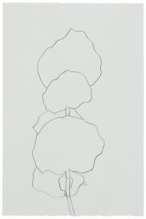 Ellsworth Kelly - Beach Plant