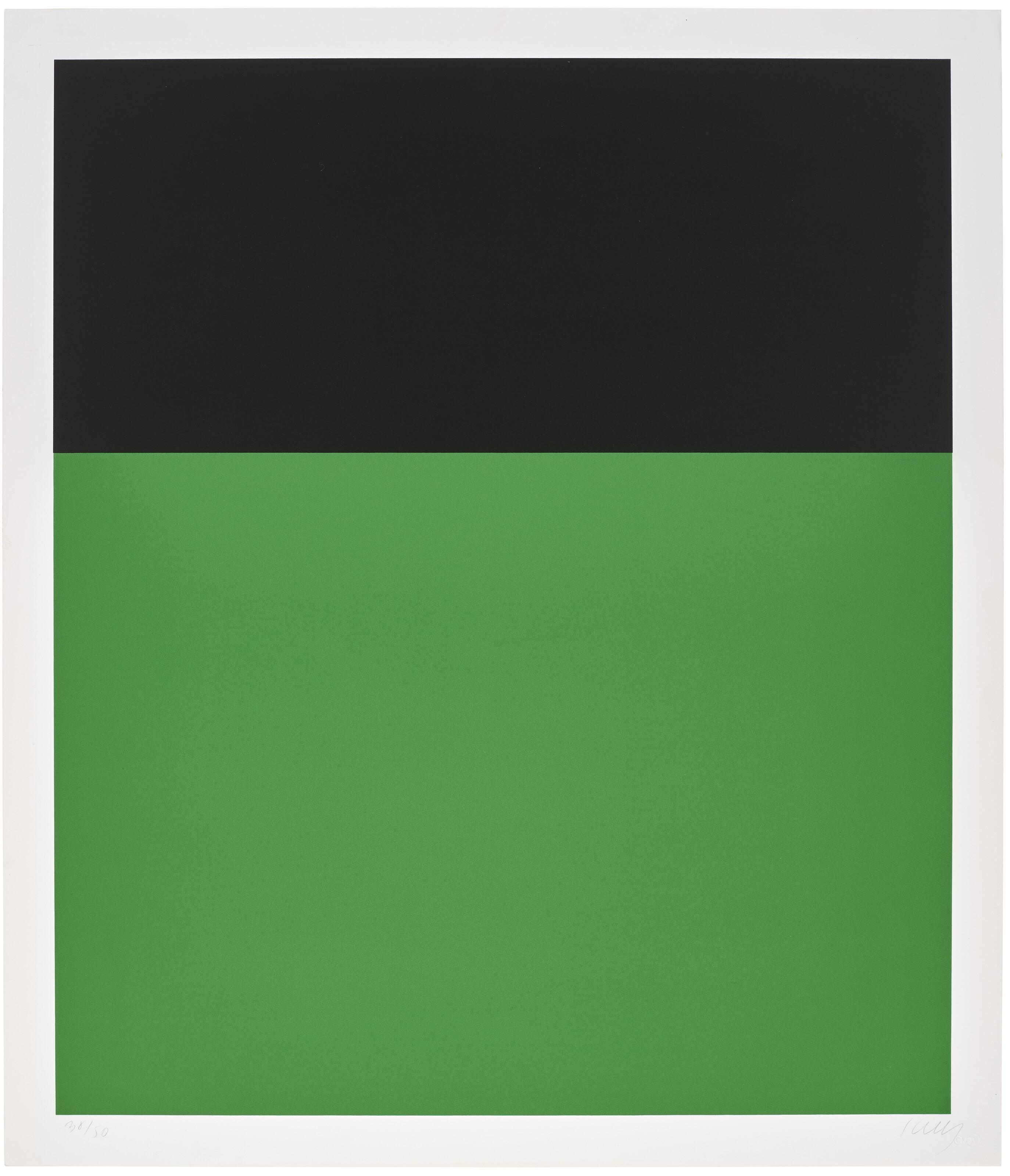 Ellsworth Kelly - Black Green II