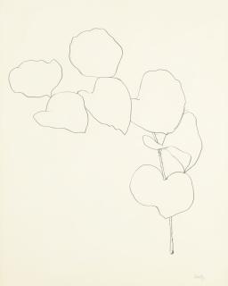 Ellsworth Kelly - Briar