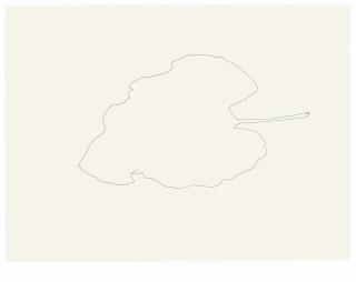 Ellsworth Kelly - Burdock