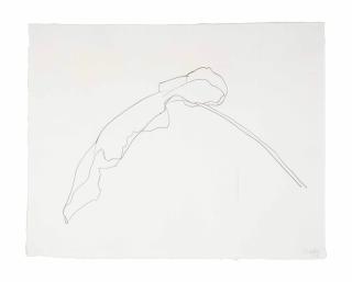 Ellsworth Kelly - Burdock