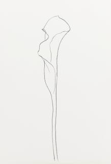Ellsworth Kelly - Calla Lily I And Iii (A. 209 And 211)