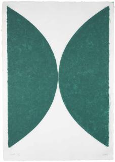 Ellsworth Kelly - Colored Paper Imagell, State (Green curve)