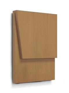 Ellsworth Kelly - Concorde Relief V