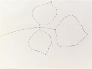 Ellsworth Kelly - Coral Leaf 6